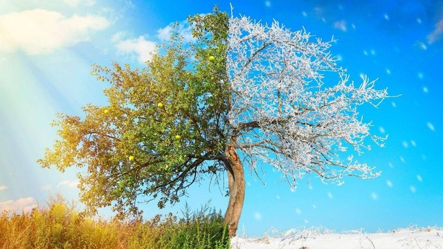 Ilustrasi musim pancaroba/Dokumen Kumparan. 