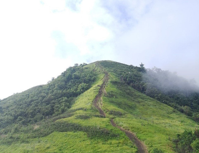 Panorama Bukit Telogah dari bawah (sumber: dokumentasi pribadi)