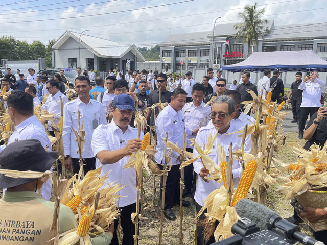 Menteri Imigrasi dan Pemasyarakatan (Imipas), Agus Andrianto, melaksanakan panen perdana hasil program pembinaan Warga Binaan di kawasan Pulau Nusakambangan, Kamis (17/04/2025). Foto: Dok. Istimewa