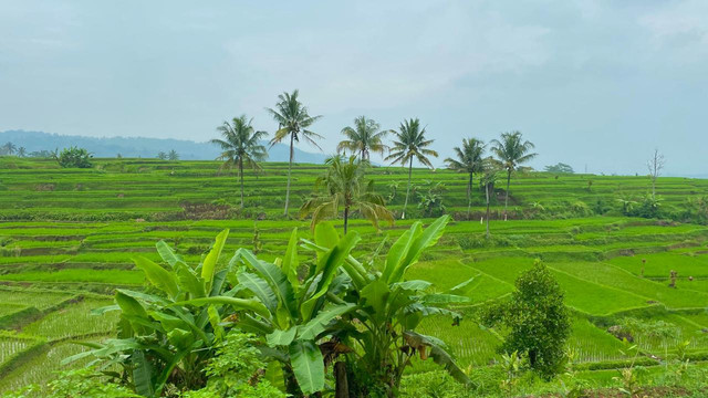 Pemandangan alam Garut, tepatnya Sukaratu diambil dari dalam Kereta Api, saat pagi hari. Perjalanan dengan moda kereta api, menjadi bagian dari aktivitas wisata yang memberi kesan kuat. Tentang alam dan kemolekan Jawa Barat. (photo by A. Afandi, diambil tahun 2022)