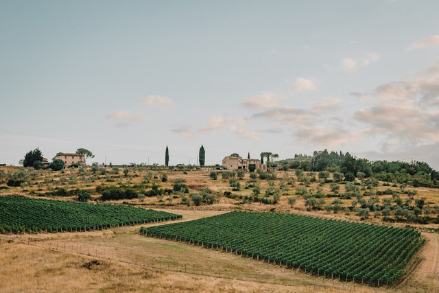 Ilustrasi untuk cheat Harvest Moon Back to Nature. Foto: Unsplash/Alexander Henke
