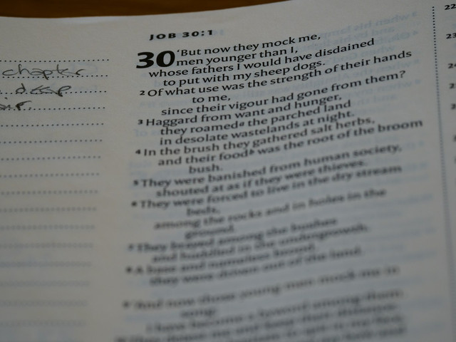 Ilustrasi contoh soal UAS IPS kelas 6 semester 2. Foto: Unsplash/ Brett Jordan