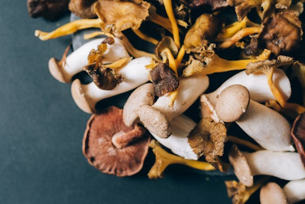 Ilustrasi Tips Menyimpan Jamur Tiram, Foto: Pexels/Leeloo The First