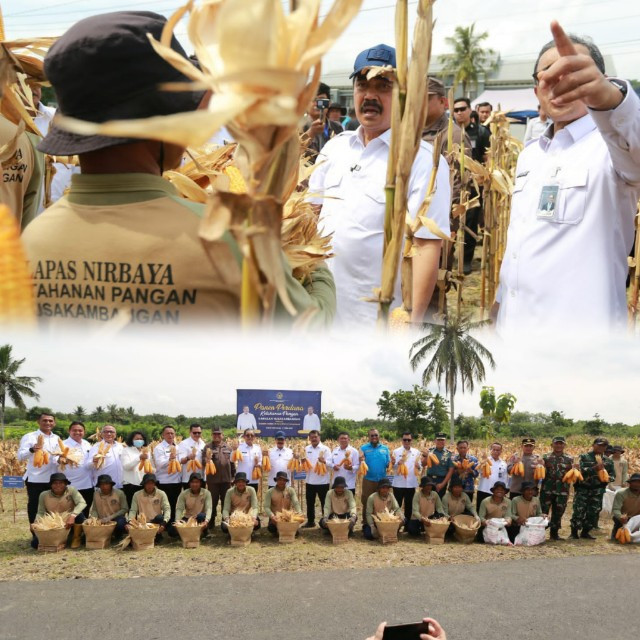 NUSAKAMBANGAN PANEN PERDANA, BANGUN LUMBUNG KETAHANAN PANGAN 