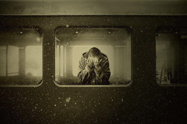 Image by Anja from Pixabay (https://pixabay.com/photos/woman-train-train-compartment-3478437/)