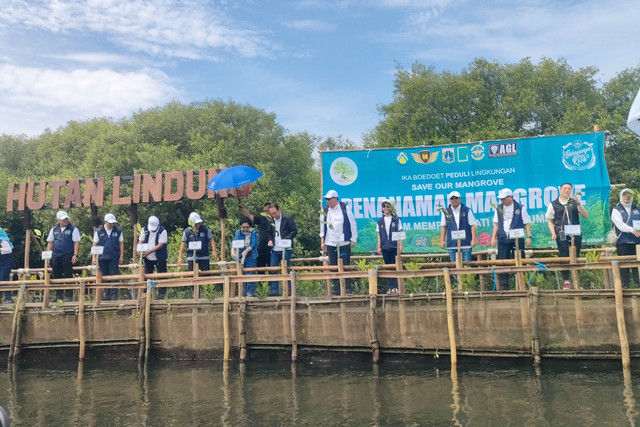 Acara penanaman mangrove Pemprov Jakarta bersama Ikatan Alumni SMAN 1 Jakarta (IKABOEDOET) yang dihadiri Dewan Pengarah BRIN sekaligus Presiden ke-5 Megawati Soekarnoputri di Kawasan Hutan Lindung Angke Kapuk, Jakarta Utara, Minggu (20/4/2025).  Foto: Dok. Istimewa