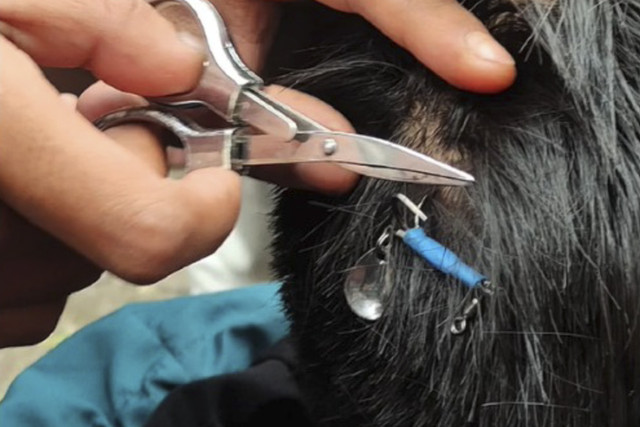 Kail pancing tertancap di kepala bocah di Baleendah, Kabupaten Bandung. Foto: Instagram/ @disdamkar_kab_bdg