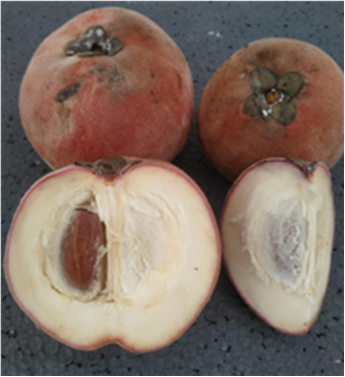 Buah Bisbul (Foto: Sopian)