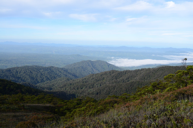 Kawasan Hutan Batang Toru di Kabupaten Tapanuli Selatan, Provinsi Sumatera Utara. Dok Pribadi. 