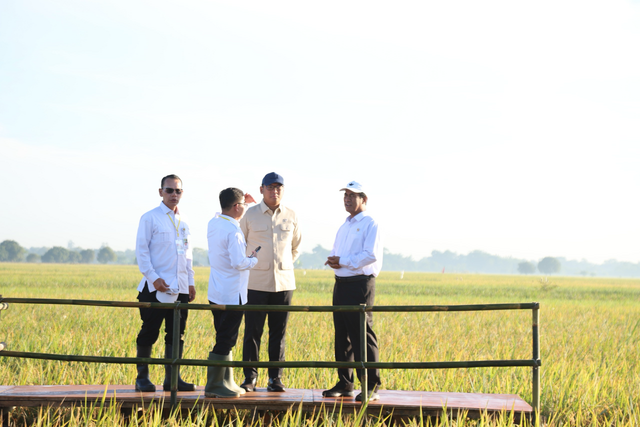 Menteri Pertanian Andi Amran Sulaiman (kanan) dan Wakil Menteri Pertanian Sudaryono saat melakukan pengecekan padi sebagai upaya percepatan swasembada pangan nasional. Foto: Dok. Kementan