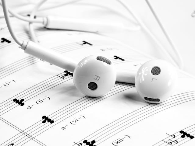 Ilustrasi arti lagu super trouper. Sumber: pexels.com