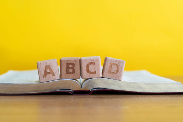 Ilustrasi Kunci Jawaban Bahasa Inggris Kelas 9 Halaman 306 Kurikulum Merdeka, Foto: Unsplash/baona.