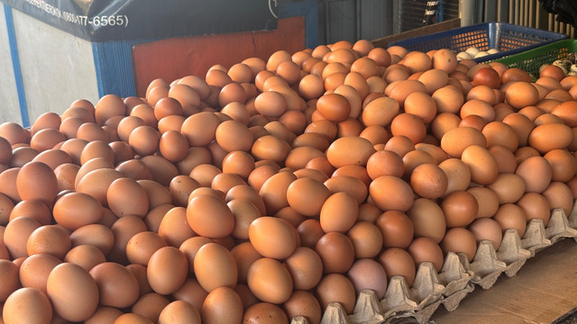 Agen telur di Swadaya I Tanjung Barat. Foto: Ave Airiza Gunanto/kumparan