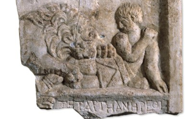 Gladiator, budaya Romawi yang melibatkan pertarungan manusia dan hewan buas. Foto: PLOS ONE