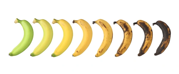 Ilustrasi tahap pembusukan buah pisang sumber shutterstock