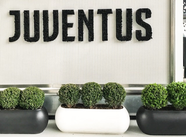 Ilustrasi jadwal Juventus 2025. Foto: Unsplash/Maria Bobrova