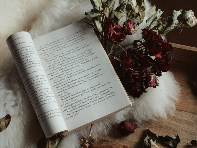 Ilustrasi puisi. Foto: Unsplash