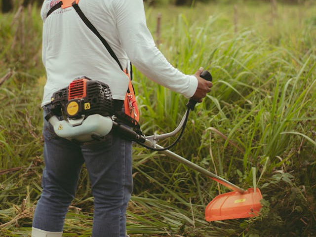 Ilustrasi mesin potong rumput 2 tak terbaik. Sumber: pexels.com/AlejandroDiazOsorio.