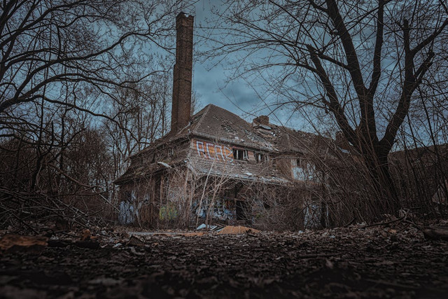 ilustrasi film horror/Pexels/Pixabay