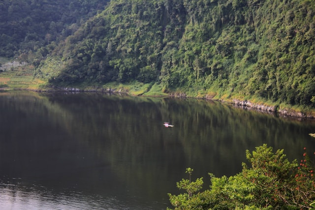 Swiss van Java. Sumber: unsplash/ Ryoka.