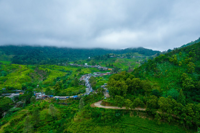 Cemoro Kandang Tawangmangu. Foto hanya sebagai ilustrasi, bukan tempat sebenarnya. Sumber foto: Unsplash-Ammar Andiko