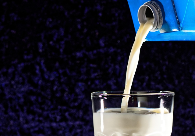 Ilustrasi rekomendasi susu protein untuk gym. Sumber foto: Pixabay/ Alexas_Fotos