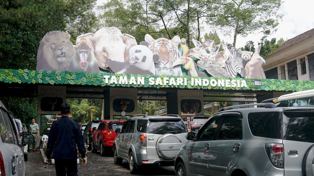 Taman Safari Indonesia. Foto: Shutterstock