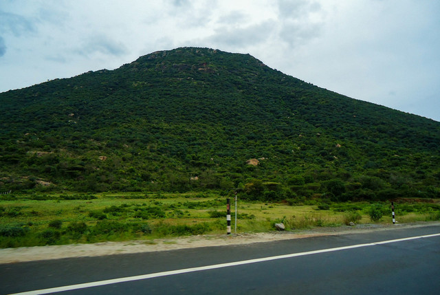 Cara ke Basecamp Gunung Gede via Putri. Foto hanya ilustrasi, bukan tempat sebenarnya. Foto: dok. Unsplash/Sreehari Devadas