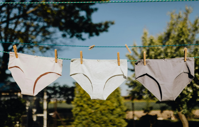 Ilustrasi Rekomendasi Celana Dalam Wanita Terbaik. Sumber: Pexels/Kaboompics