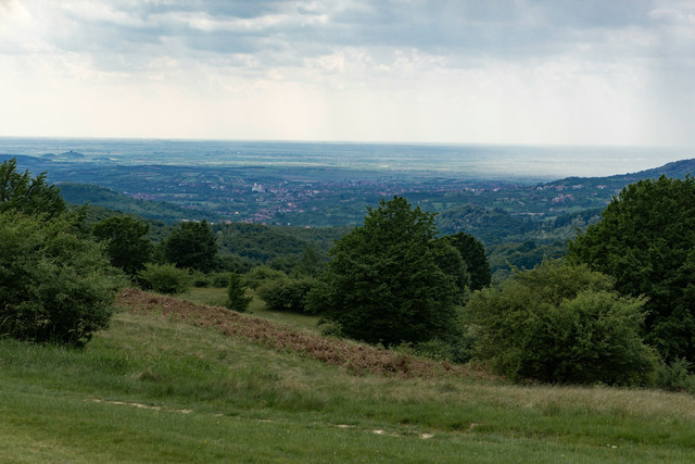 Bukit Pelangi Sangatta. Foto hanya ilustrasi, bukan tempat sebenarnya. Foto: dok. Unsplash/Lucut Razvan