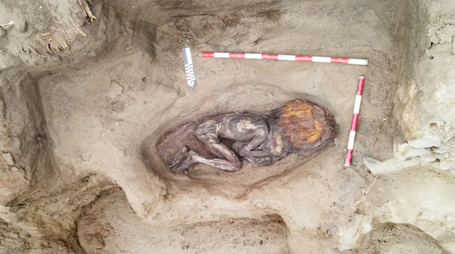 Wanita itu merupakan anggota elite dan diperkirakan berusia antara 20 dan 35 tahun saat ia meninggal. Foto: Peru Ministry of Culture