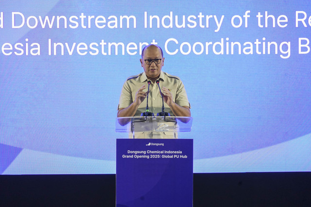 Menteri Investasi dan Hilirisasi/Kepala Badan Koordinasi Penanaman Modal (BKPM) Rosan Perkasa Roeslani meresmikan Dongsung Chemical di Karawang, Jawa Barat, Rabu (30/4/2025). Foto: Dok. BKPM