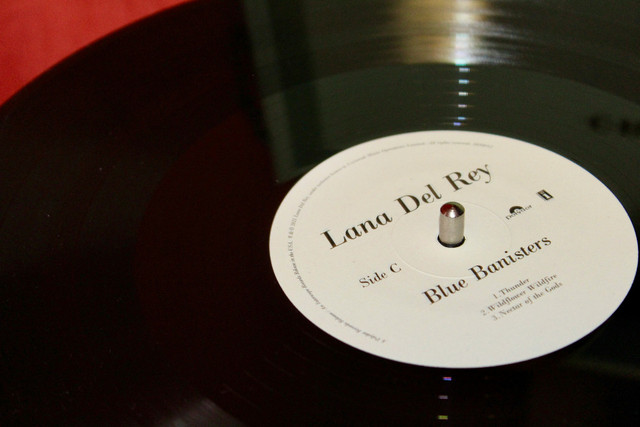 Ilustrasi makna lagu salvatore lana del rey - Sumber: unsplash.com/@yerofeiev