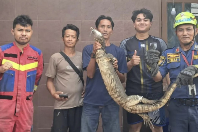 Damkar Kota Bogor mengevakuasi biawak  dari rumah warga. Foto: Instagram/ @damkarkotabogor_official