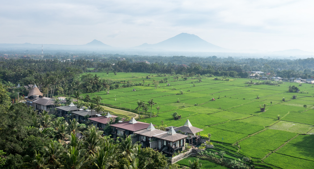 Gdas Bali Health and Wellness Resort di kawasan Ubud Bali. Foto: Istimewa