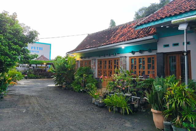 Tanah seluas 2.275 meter persegi beserta rumah, kos 30 kamar, dan tempat usaha tanaman hias milik keluarga Bryan Manov, korban mafia tanah di Tamantirto, Kapanewon Kasihan, Kabupaten Bantul, Senin (5/5/2025). Foto: Arfiansyah Panji Purnandaru/kumparan