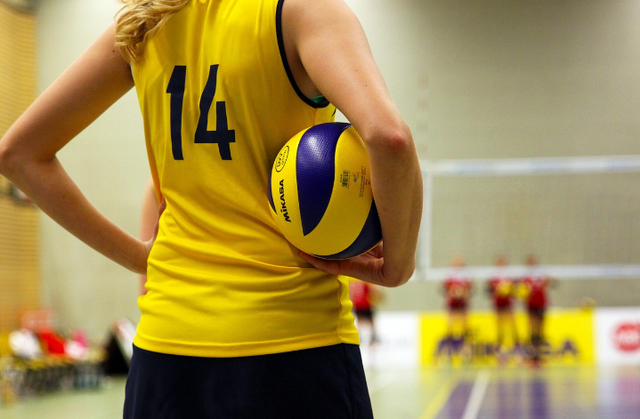 Ilustrasi jadwal grand final Proliga 2025. Sumber foto: Pixabay/ TaniaVdB