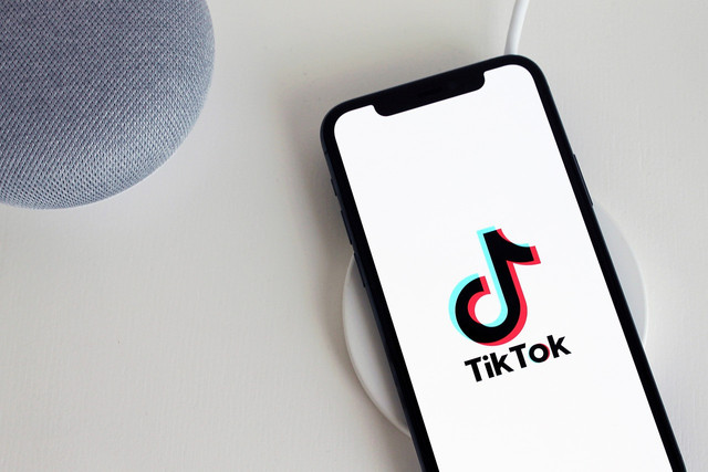 Ilustrasi : Applikasi TikTok (Pixabay)