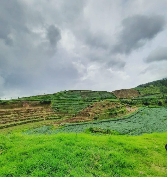 Foto : Salah satu wisata alam yang berada di Kota Batu (Dok. Destinasi Grow)