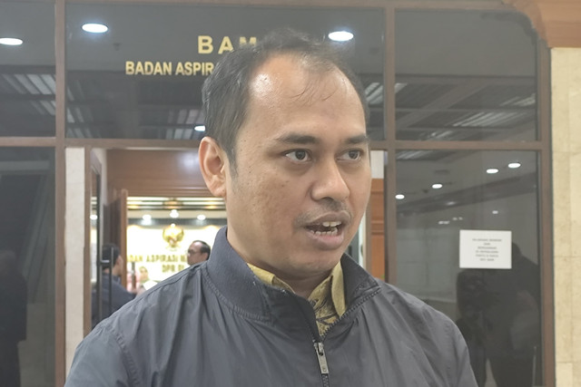 Ketua Ikatan Dokter Anak Indonesia (IDAI) Sumatera Utara dr.Rizky Ardiansyah di Nusantara II, Komplek Parlemen Senayan, Jakarta Pusat, Rabu (7/5/2025). Foto: Alya Zahra/kumparan 