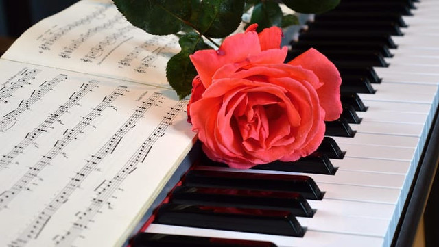 Ilustrasi arti lagu Pretty Little Baby. Sumber foto: Pixabay/neelam279