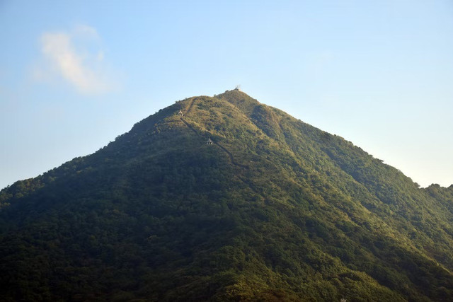 Jalur pendakian Gunung Andong. Foto hanya ilustrasi, bukan tempat sebenarnya. Sumber: Unsplash/Andy Kuo