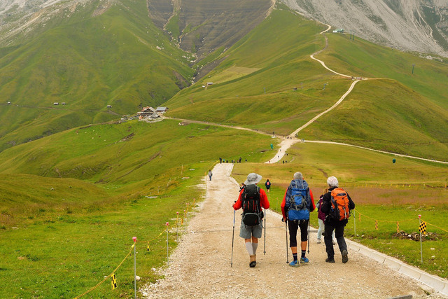 Jalur Pendakian Gunung Lawu. Foto hanya ilustrasi, bukan tempat sebenarnya. Sumber: Pixabay/pcdazero