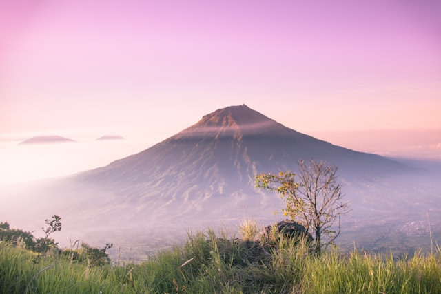 Jalur Pendakian Gunung Slamet. Foto hanya ilustrasi, bukan tempat sebenarnya. Sumber: Unsplash/Hamzah Hanafi
