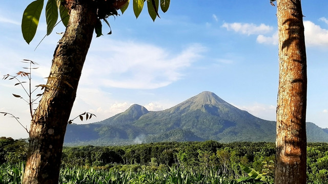 Jalur Pendakian Gunung Penanggungan via Tamiajeng. Foto Gunung Penanggungan. Sumber Unsplash Amperiano Yuniawan