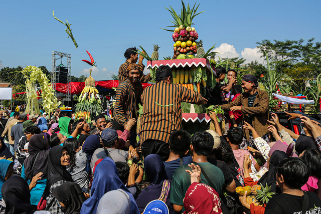 Warga berebut gunungan hasil pertanian saat mengikuti tradisi gelar budaya Festival Apitan Sedekah Bumi di Kampung Kelurahan Gedawang, Semarang, Jawa Tengah, Sabtu (10/5/2025). Foto: ANTARA FOTO/Makna Zaezar