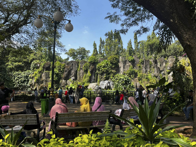 Suasana Kebun Binatang Ragunan, Jakarta Selatan, Minggu (11/5/2025). Foto: Rayyan Farhansyah/kumparan