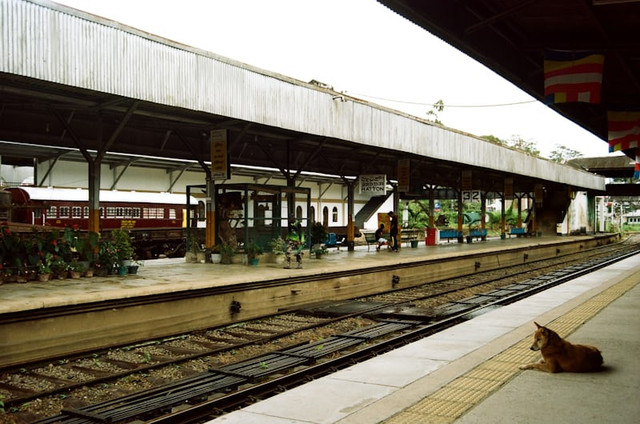 peron berapa dari Jatinegara ke Manggarai. Foto hanyalah ilustrasi bukan tempat sebenarnya. Sumber: Unsplash/Prescott Horn
