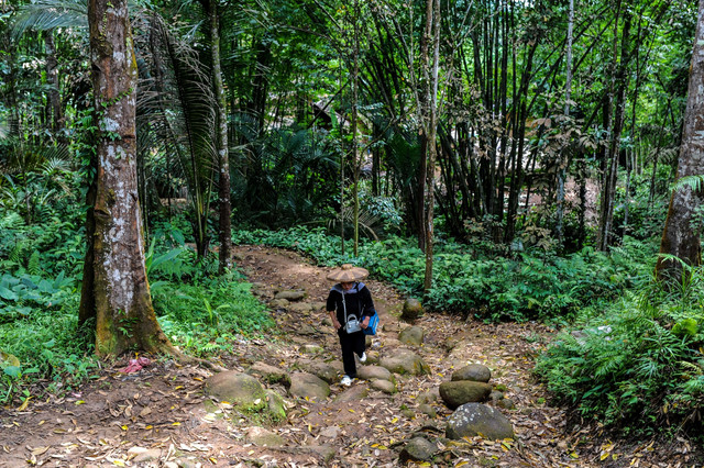 Bidan Puskesmas Cisimeut Rika Nopita membawa kotak medis berisi vitamin A berjalan menembus hutan menuju wilayah pedalaman Baduiy di Cibeo, Lebak, Banten. Foto: Muhammad Bagus Khoirunas/ANTARA FOTO