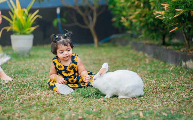 Taman Kelinci Pacet. Foto hanya ilustrasi, bukan sebenarnya. Sumber: pexels.com/Chathuranga Thennakoon